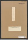 Diatomeae indet. Zeichnungen Sammlung Grunow Nr. 6275 (NHMW-BOT-W0374884)